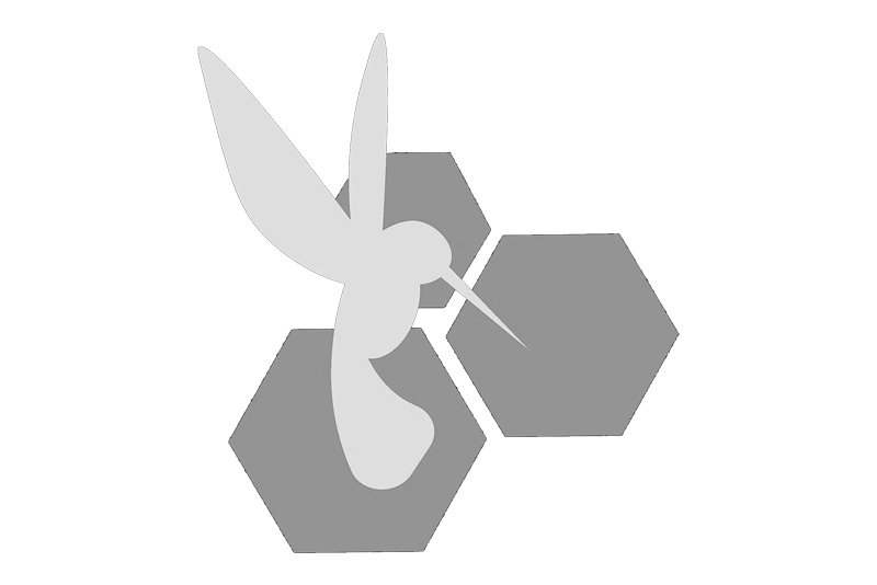 Solidarity Economy Association